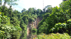 The Sen (D21), Condominium #475548131